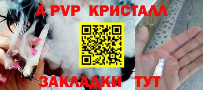 ПСИЛОЦИБИНОВЫЕ ГРИБЫ Камышлов