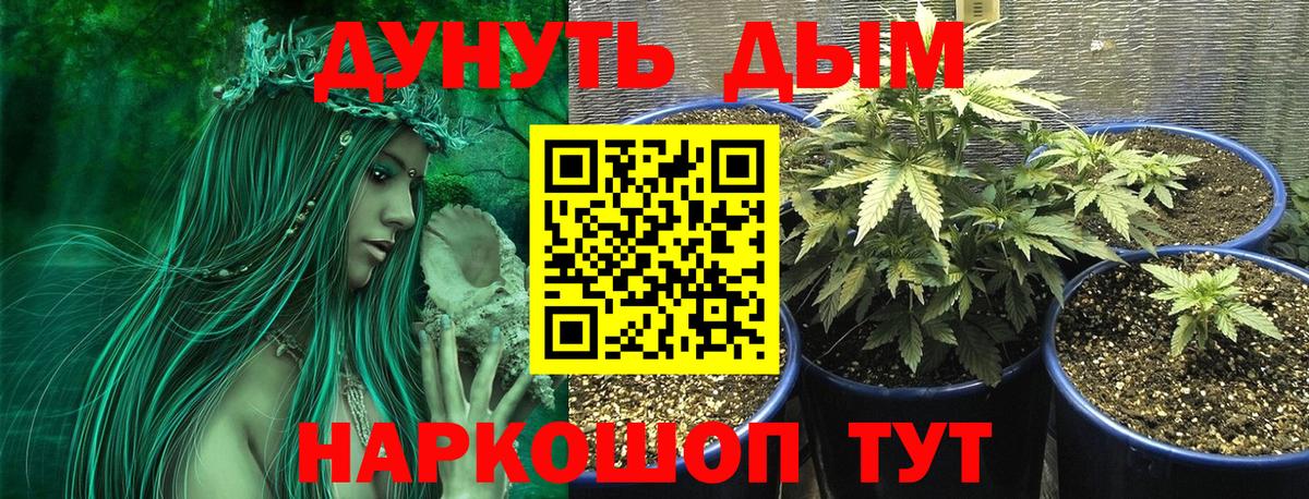 Канабис сатива  Вход с VPN  Лабытнанги  Шишки марихуана White Widow 